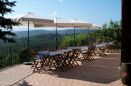 toscana con amore, toscana, feriebolig i toscana, ferie, ferielejlighed i toscana, agriturismo, firenze, siena, chianti, bolgheri, strand, ferie med børn, familieferie, toscana vingård, ferie vingård, toscana feriebolig pool, toscana feriebolig strand, toscana feriehus, toscana camping, toscana ferieboligudlejning, toscana sommerhusudlejning